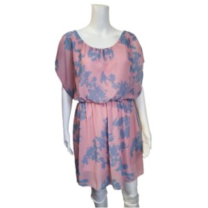 Blue and Pink Dress